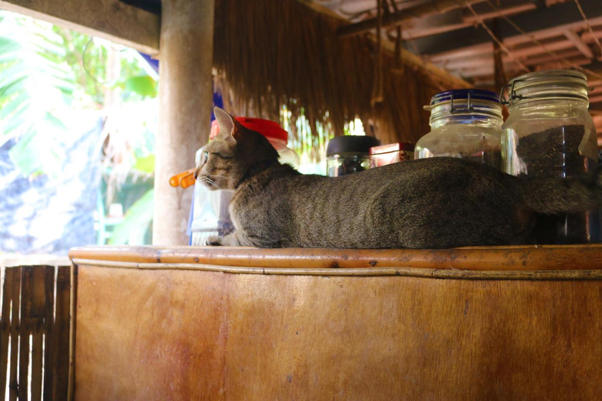 ホテル Casa ケップ エクステリア 写真