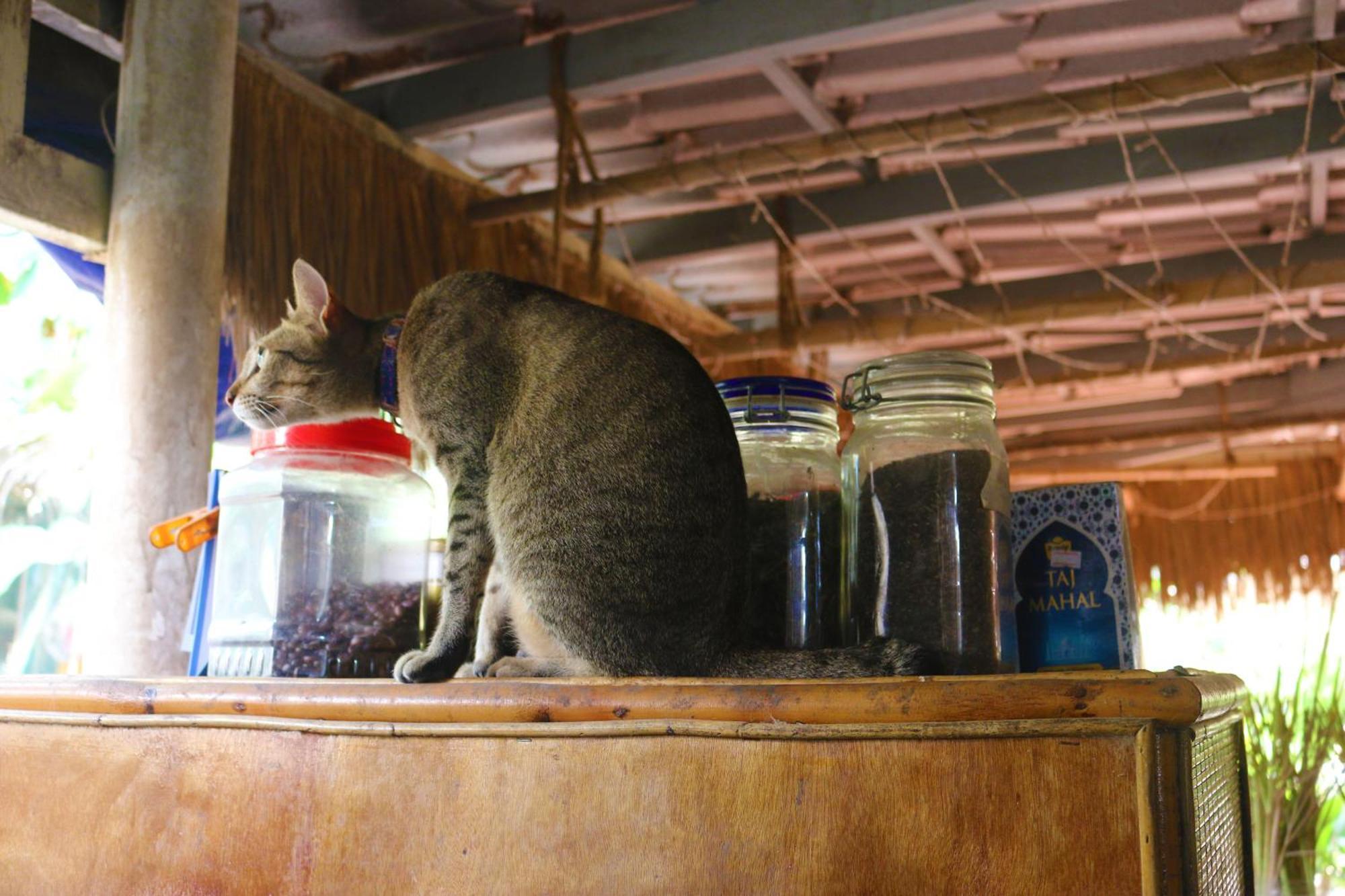 ホテル Casa ケップ エクステリア 写真
