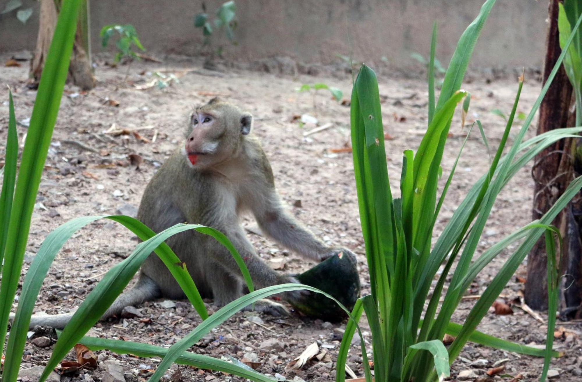 ホテル Casa ケップ エクステリア 写真