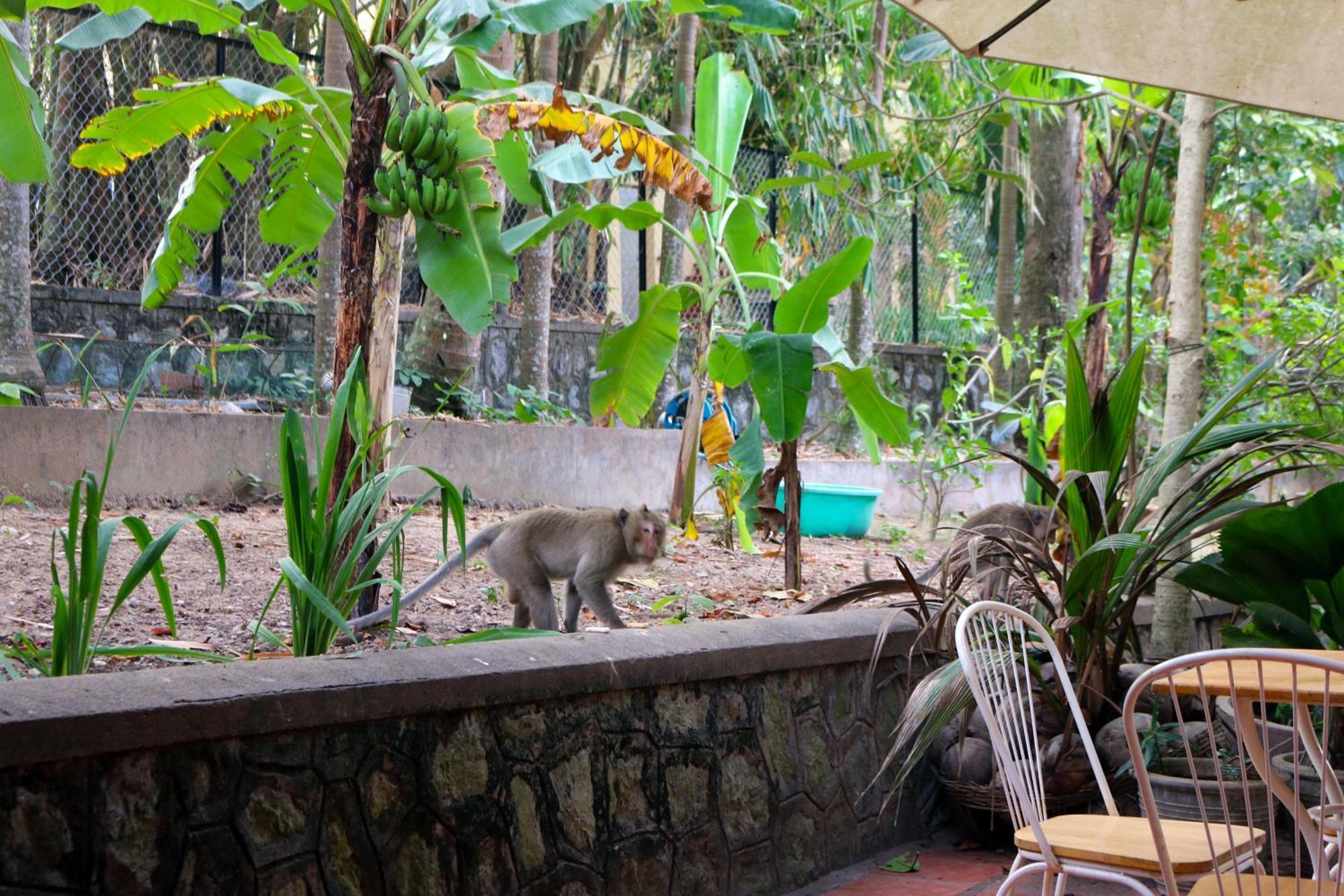 ホテル Casa ケップ エクステリア 写真